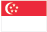 Singapore flag